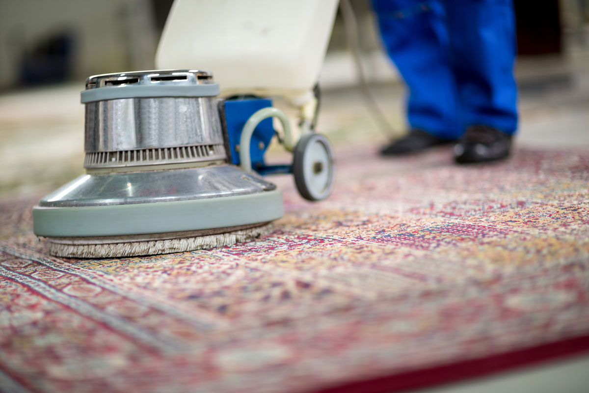 Carpet cleaning tips