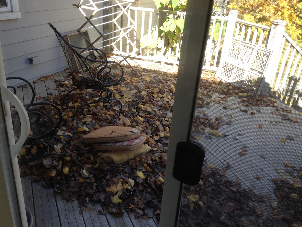 Porch cleaning services